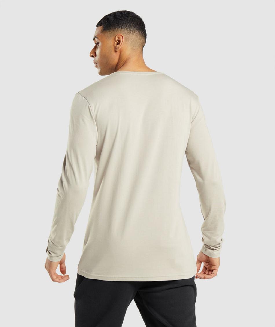 Long Sleeve Męskie Gymshark Essential Szare | PL 3666DFM